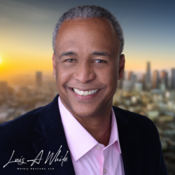 Luis A White Notary Services